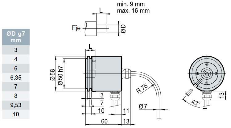 H, HP model