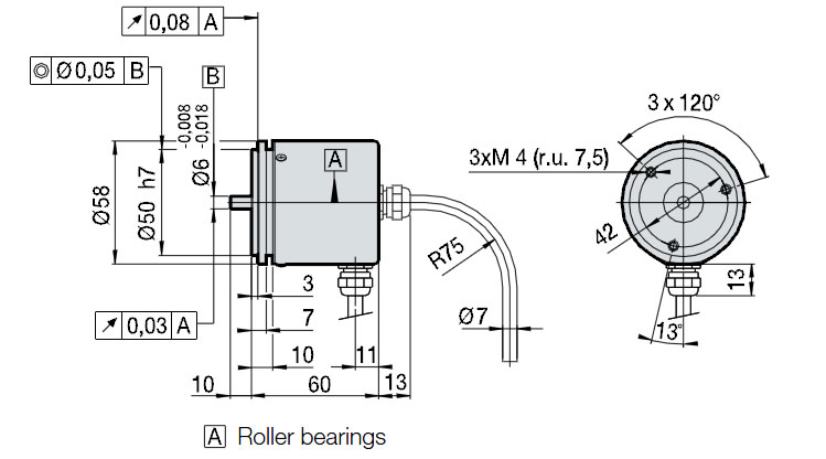 S, SP model